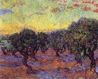 Gogh, Vincent van - Olive Orchard